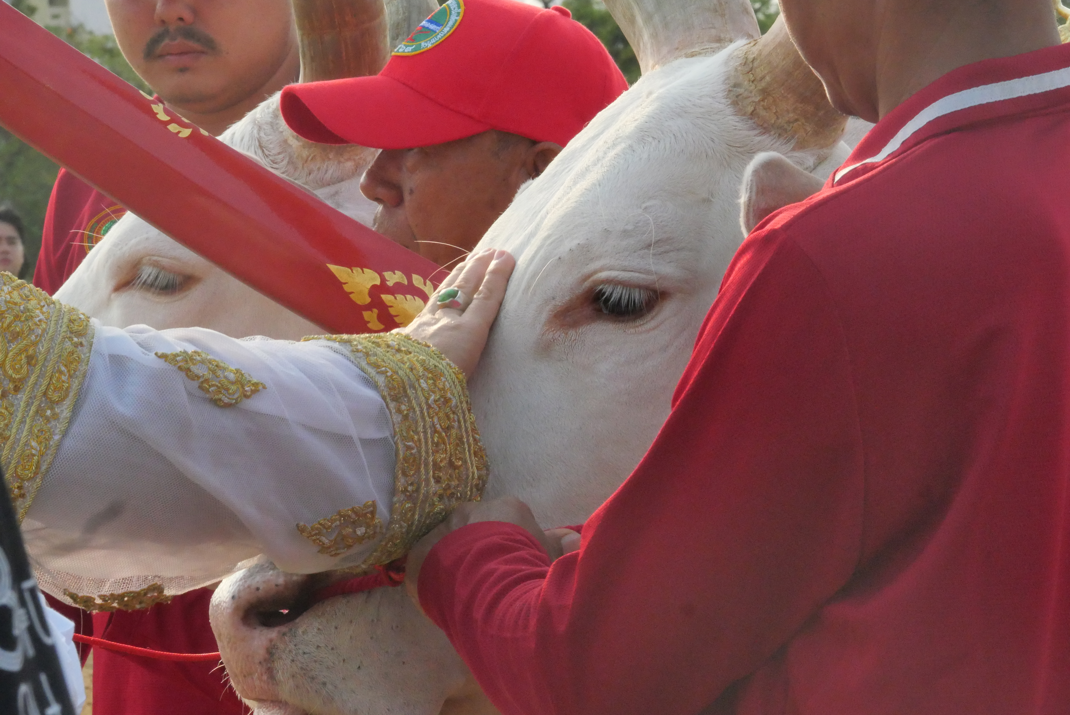 title - ส.ป.ก. ร่วมซ้อมย่อย ครั้งที่ 2 พระราชพิธีพืชมงคลจรดพระนังคัลแรกนาขวัญ ประจำปีพุทธศักราช 2569
